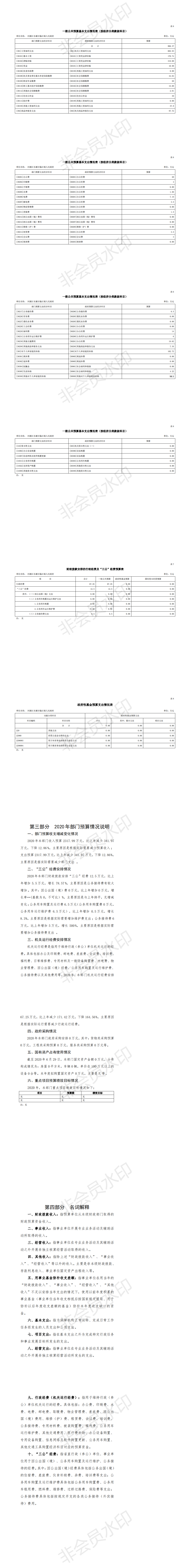 2020年河源江東新區臨江鎮人民政府部門預算_1.png