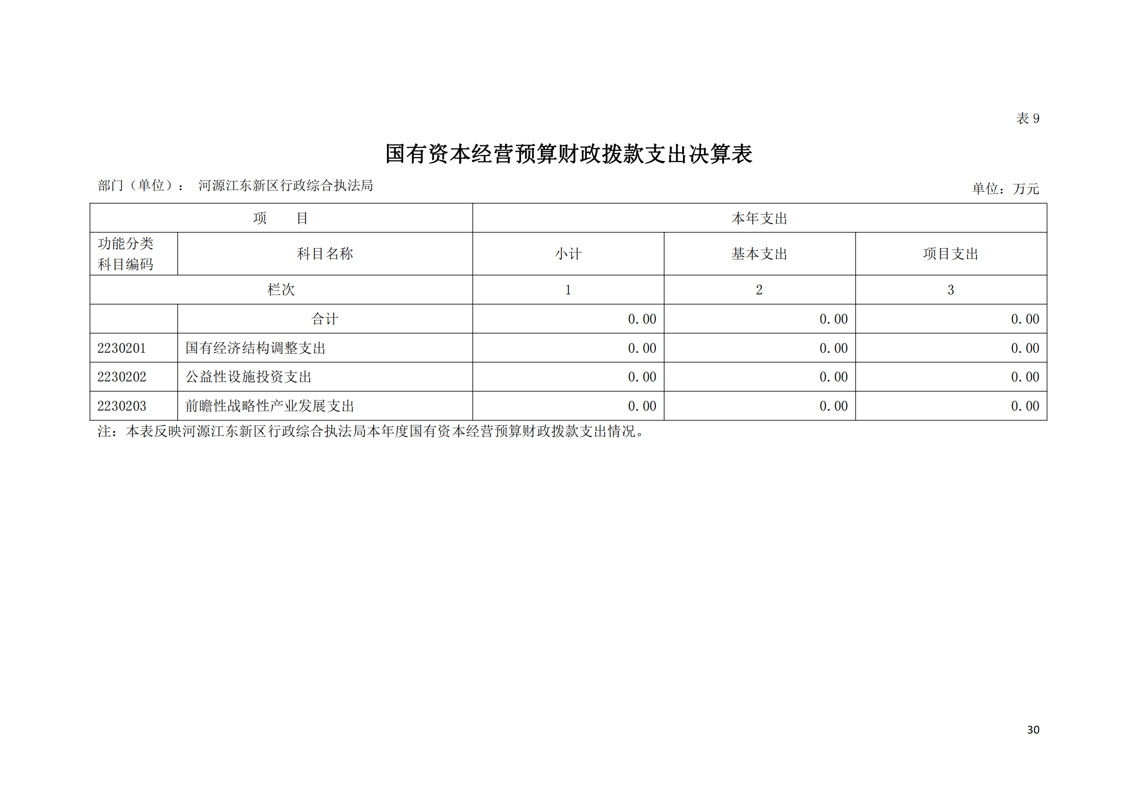 2020年河源江東新區(qū)行政綜合執(zhí)法局部門(mén)決算公開(kāi)數(shù)據(jù)填報(bào)模板(1)_29.png
